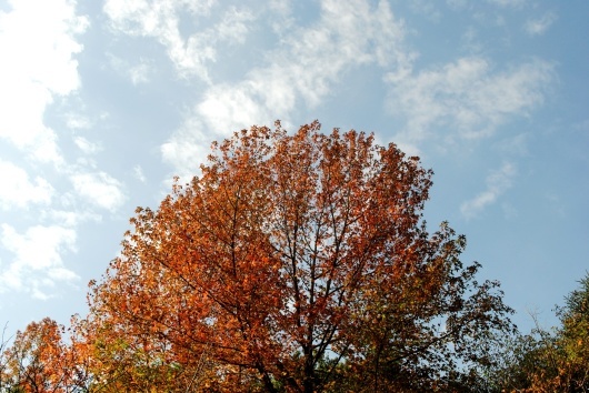 f0361605_21021940.jpg