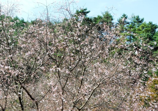 f0361605_21034565.jpg