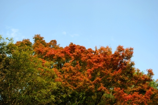 f0361605_21055374.jpg