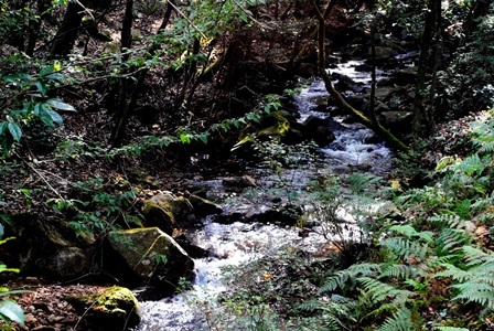 f0361605_21091075.jpg