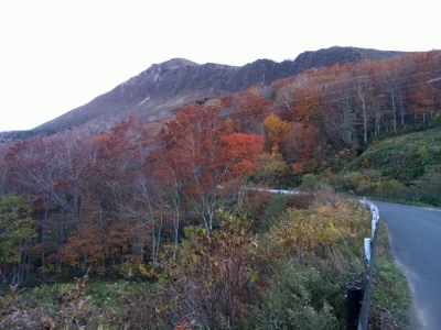 b0040606_23174589.jpg