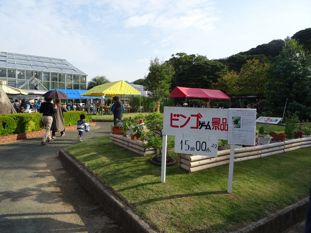 b0052108_56511.jpg