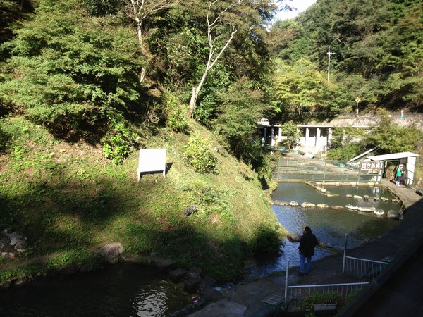 f0221708_10491825.jpg