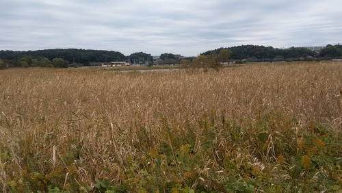 d0049909_1924035.jpg