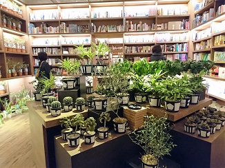 本日は、緑の図書館で一休み・・・。_d0091909_1065047.jpg