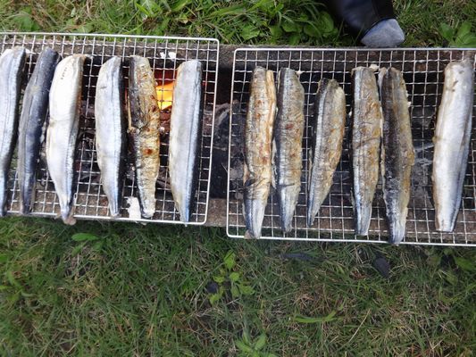 秋刀魚行事_a0154110_15333556.jpg