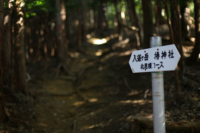 鈴鹿セブン達成を目指し入道ヶ岳へ！_e0077010_21533639.jpg