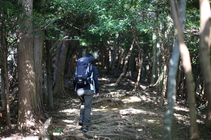 鈴鹿セブン達成を目指し入道ヶ岳へ！_e0077010_22371204.jpg