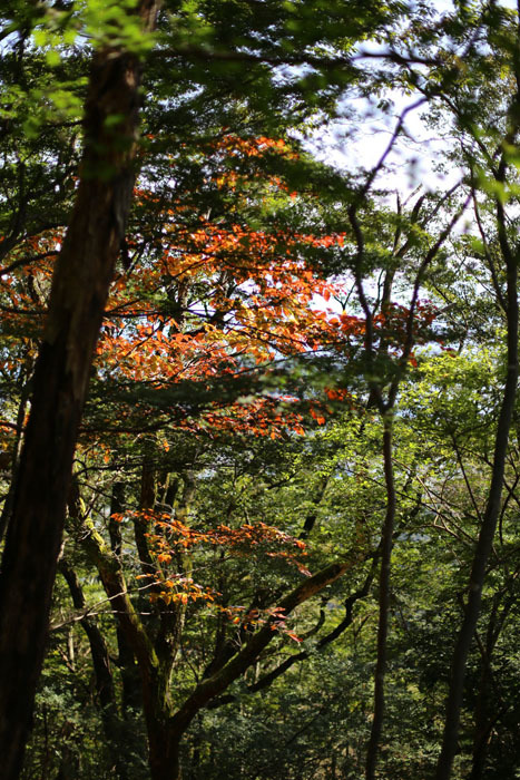 e0077010_22434278.jpg