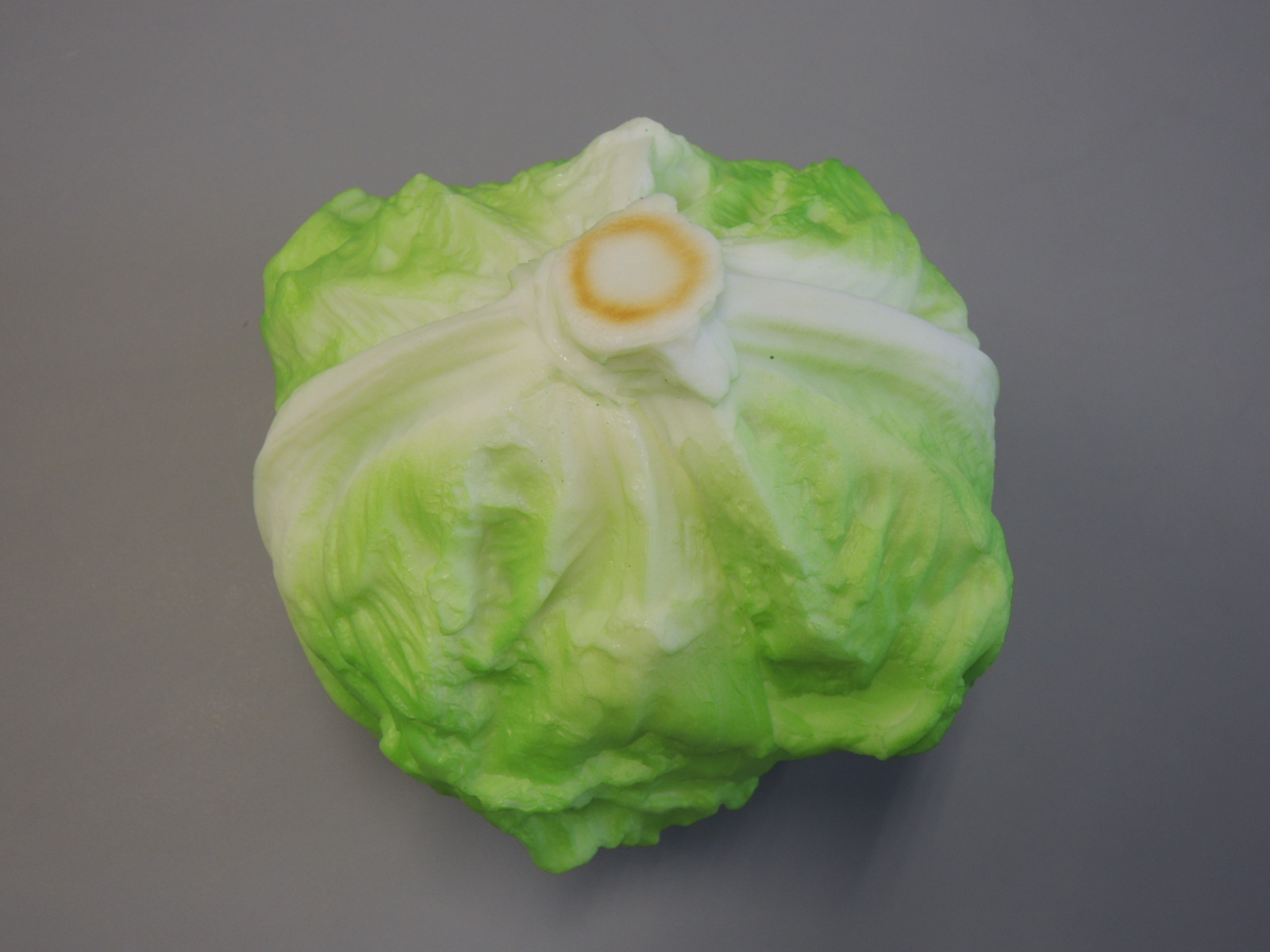 野菜 食品サンプル 新製品のご案内(新鮮レタス)_e0142313_13542151.jpg