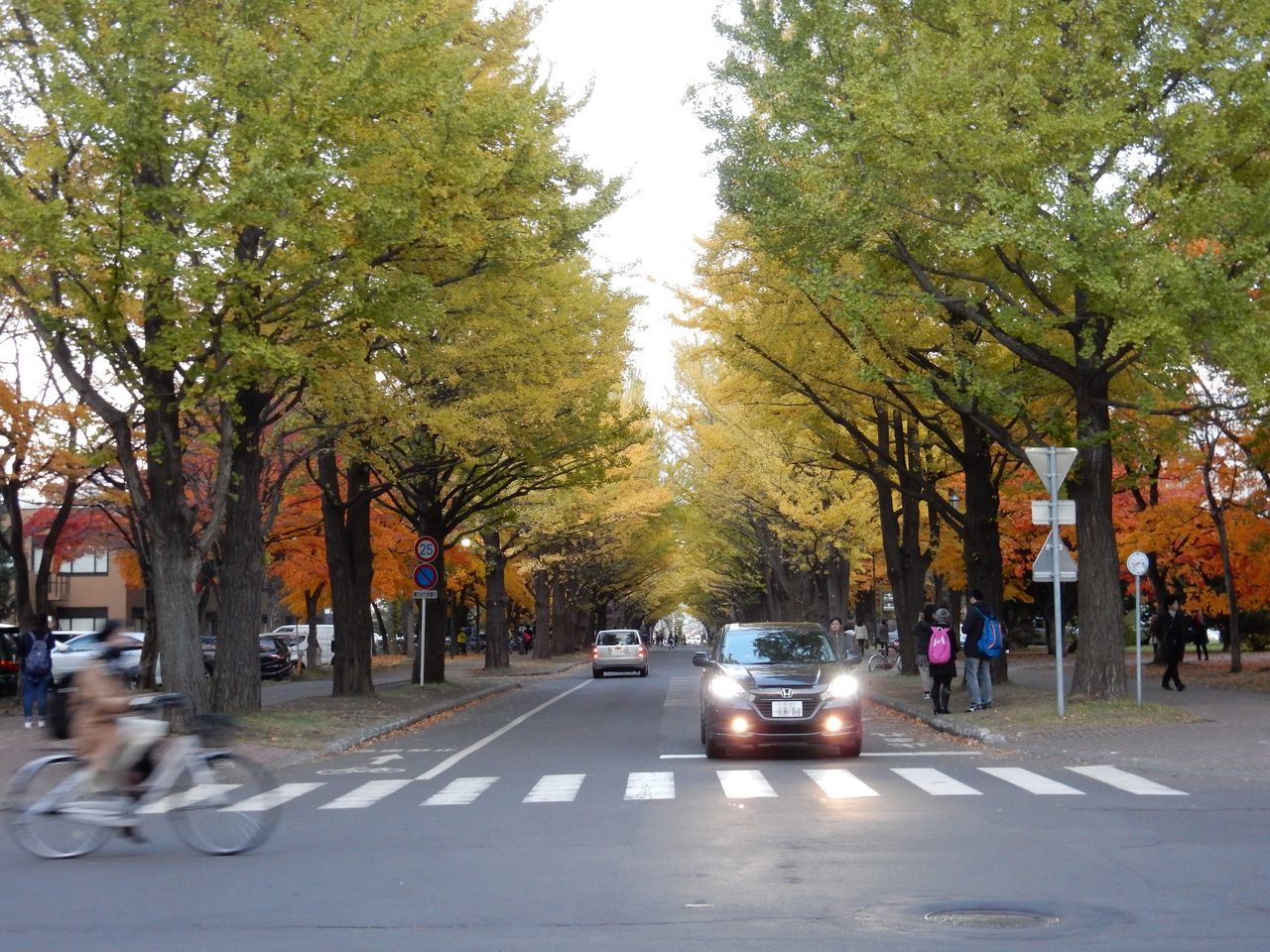 日没前の北大キャンパス_c0025115_21485225.jpg