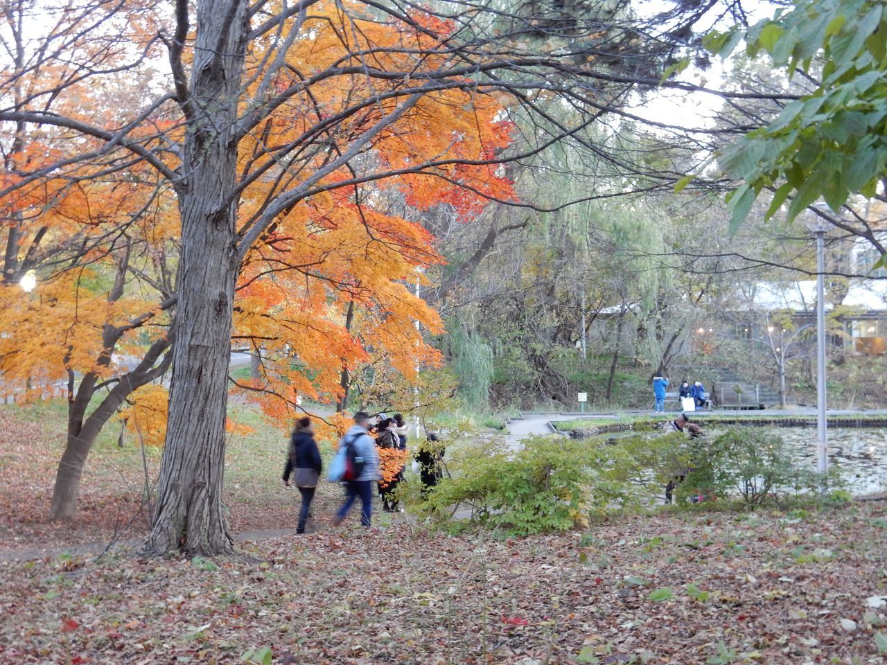 日没前の北大キャンパス_c0025115_21493660.jpg