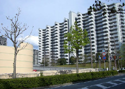 e0359418_07553611.jpg