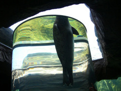 e0359418_07560115.jpg