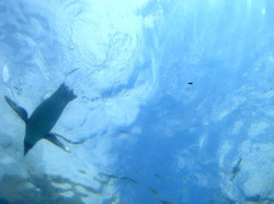 e0359418_07560203.jpg