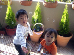 e0359418_07564229.jpg