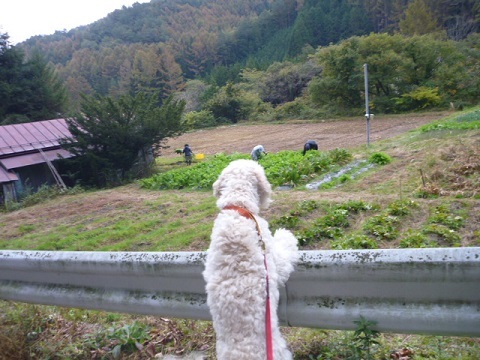 f0377520_09114959.jpg