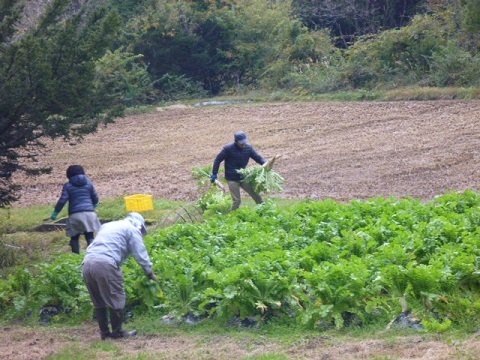 f0377520_09142426.jpg
