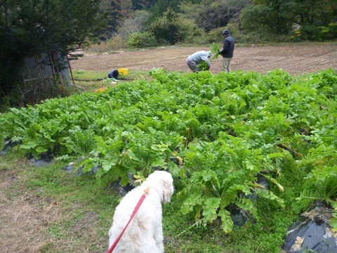 f0377520_09171498.jpg