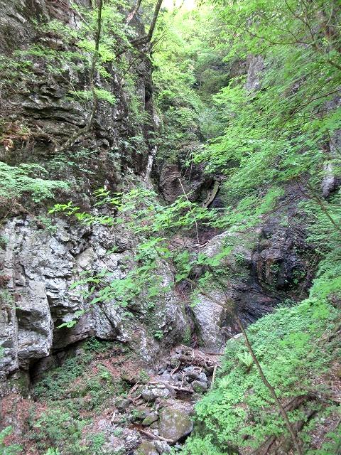 奥秩父　天理岳を越えて両神山へ　　　　　Mount Tenri to Ryōkami in Chichibu-Tama-Kai National Park_f0308721_20275120.jpg