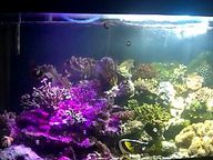 e0359523_12400052.jpg