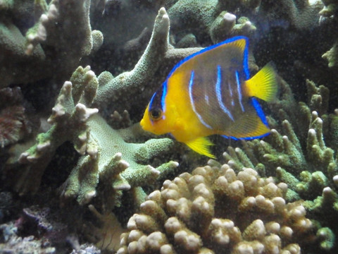 e0359523_13143400.jpg
