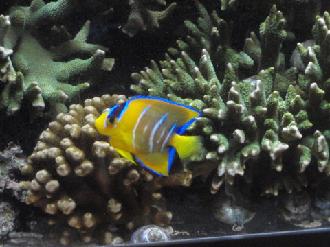 e0359523_13143482.jpg
