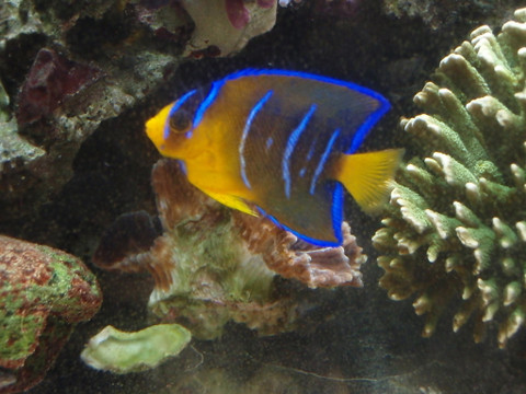e0359523_13143539.jpg