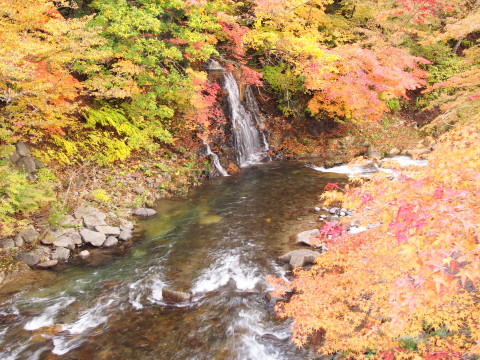 紅葉の中野もみじ山（黒石市）*2016.11.02_b0147224_20394429.jpg