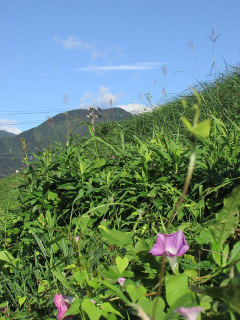 e0321325_11274473.jpg