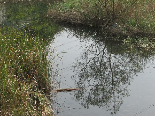 e0321325_1128599.jpg