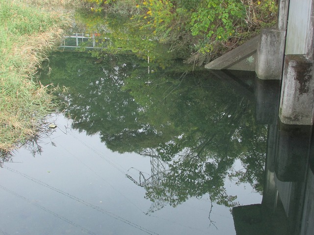 e0321325_11295033.jpg