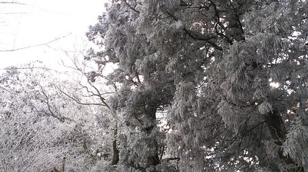 e0359525_13290031.jpg