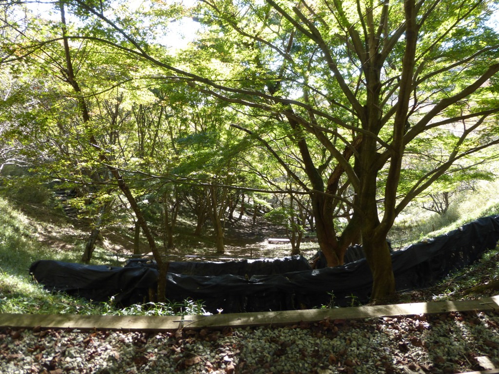 d0024426_22225643.jpg