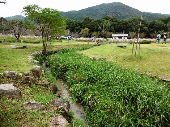 d0086228_12335416.jpg