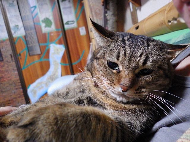 a0337237_16244298.jpg