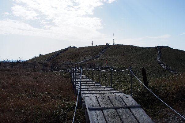 b0149340_20414331.jpg