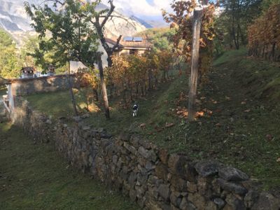 d0136540_03090155.jpg