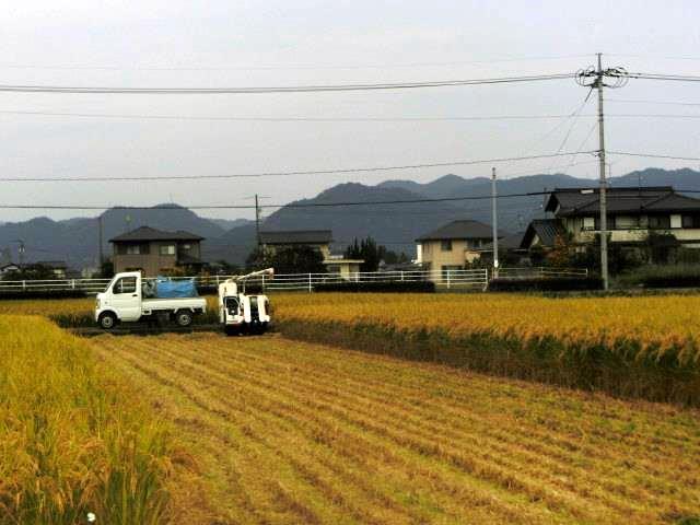 b0297741_08042145.jpg