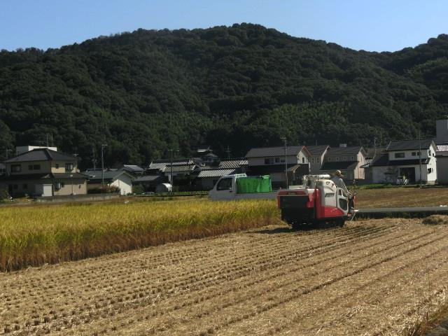 b0297741_08043914.jpg