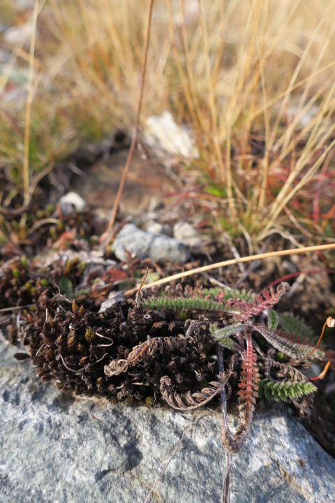 e0300042_2173581.jpg