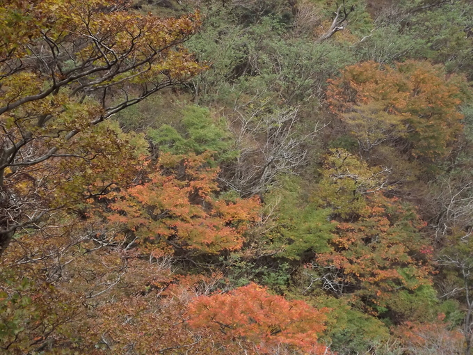a0206345_18323321.jpg
