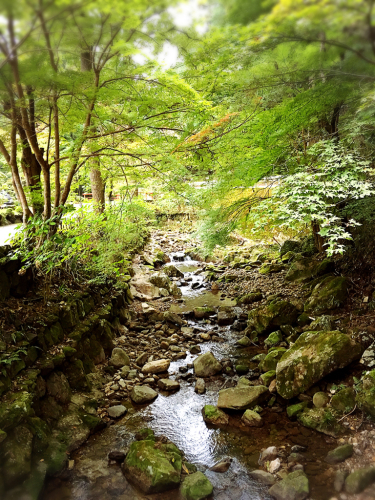 e0292546_03110035.jpg