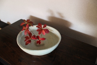 松葉勇輝 陶展 本日より_a0279848_09584252.jpg