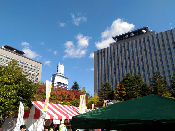 c0335348_1651436.jpg