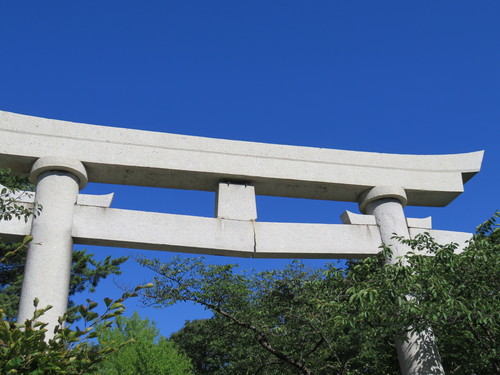 b0238249_1993053.jpg