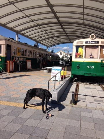 京都 梅小路公園_f0337250_23565716.jpg