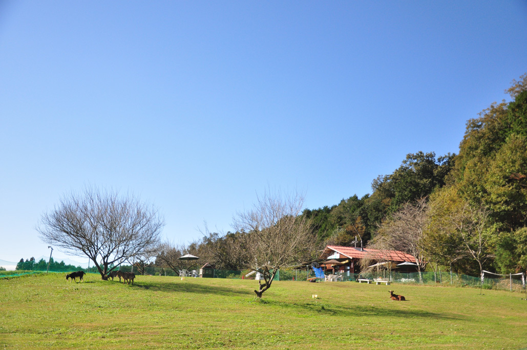 b0214652_18410394.jpg