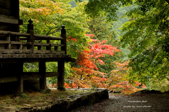 秋探し　～紅葉_b0328557_19271673.jpg