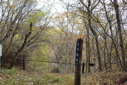 a0208560_1317118.jpg
